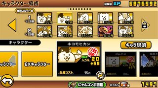 nyanko21F.jpg